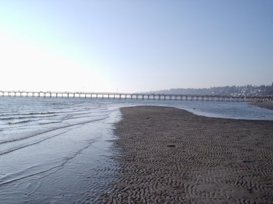 White Rock
Sunny Day in White Rock
