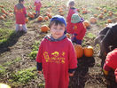 PumpkinPatch2076.JPG